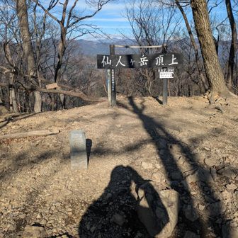 静かな仙人ヶ岳山頂。以前倒れていた山名表示板は修理されていました🙏