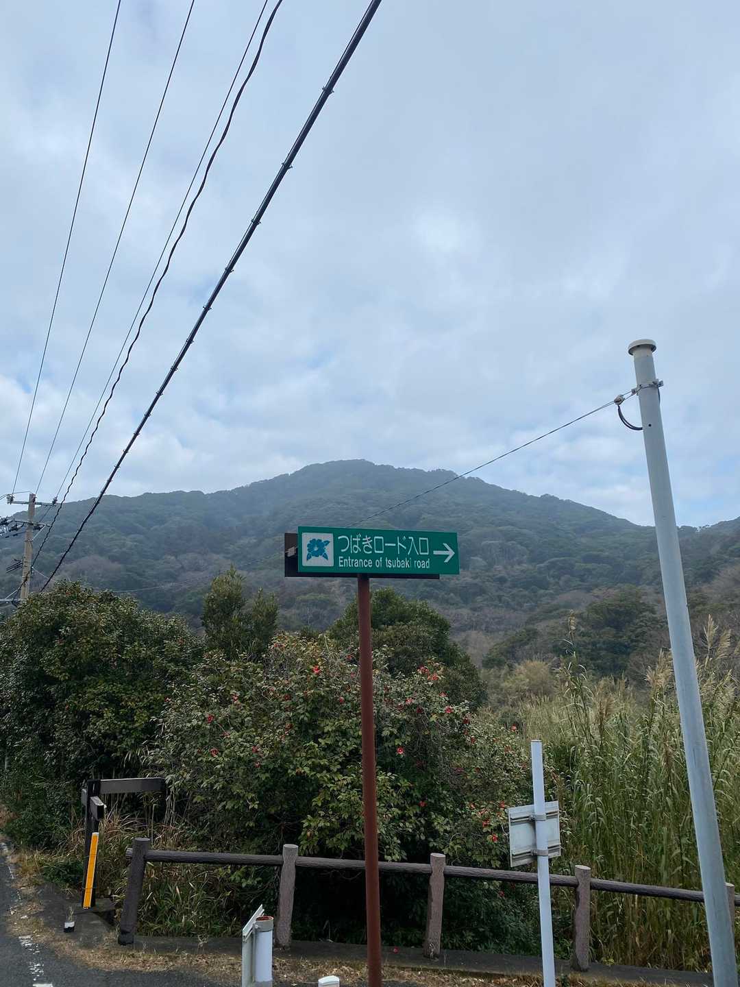 またしても椿ロード🌸
あの奥が最後のピーク⛰️？🤔