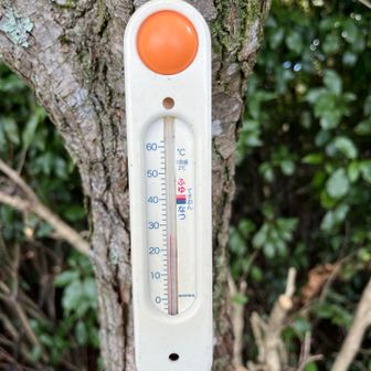 気温は26℃でしたが、風が有ると最高でした。