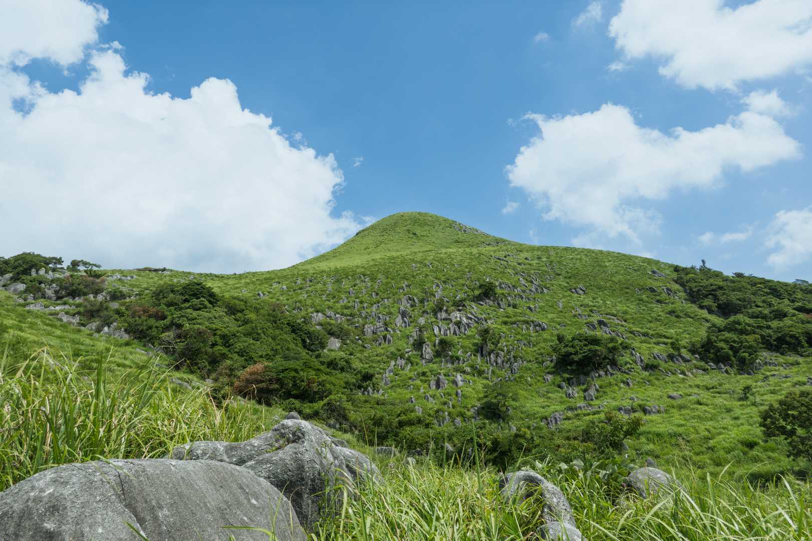 権現山
暑いながらもこのあたりでは足取りはまだ軽い