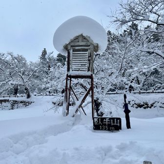 山頂へはあっという間にとうちゃこ。一面真っちろ。雪❄️が結構降っていたので、傘差しハイクで対応。