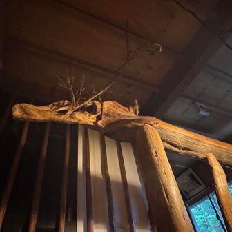 階段の手すりが🐉　