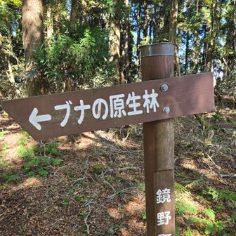 たくさんあったな～