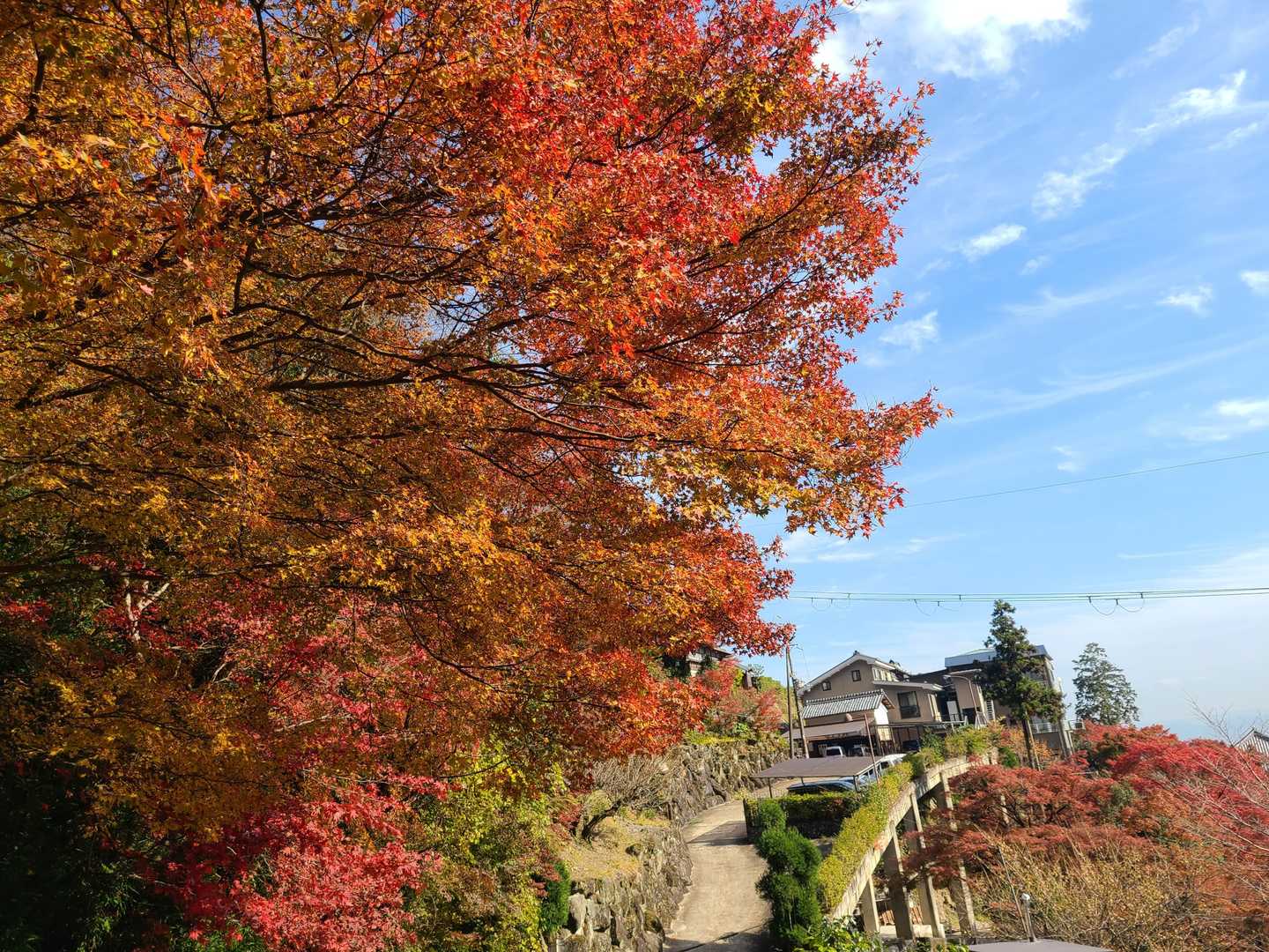 釈迦岳-ポンポン山 周回コースの写真