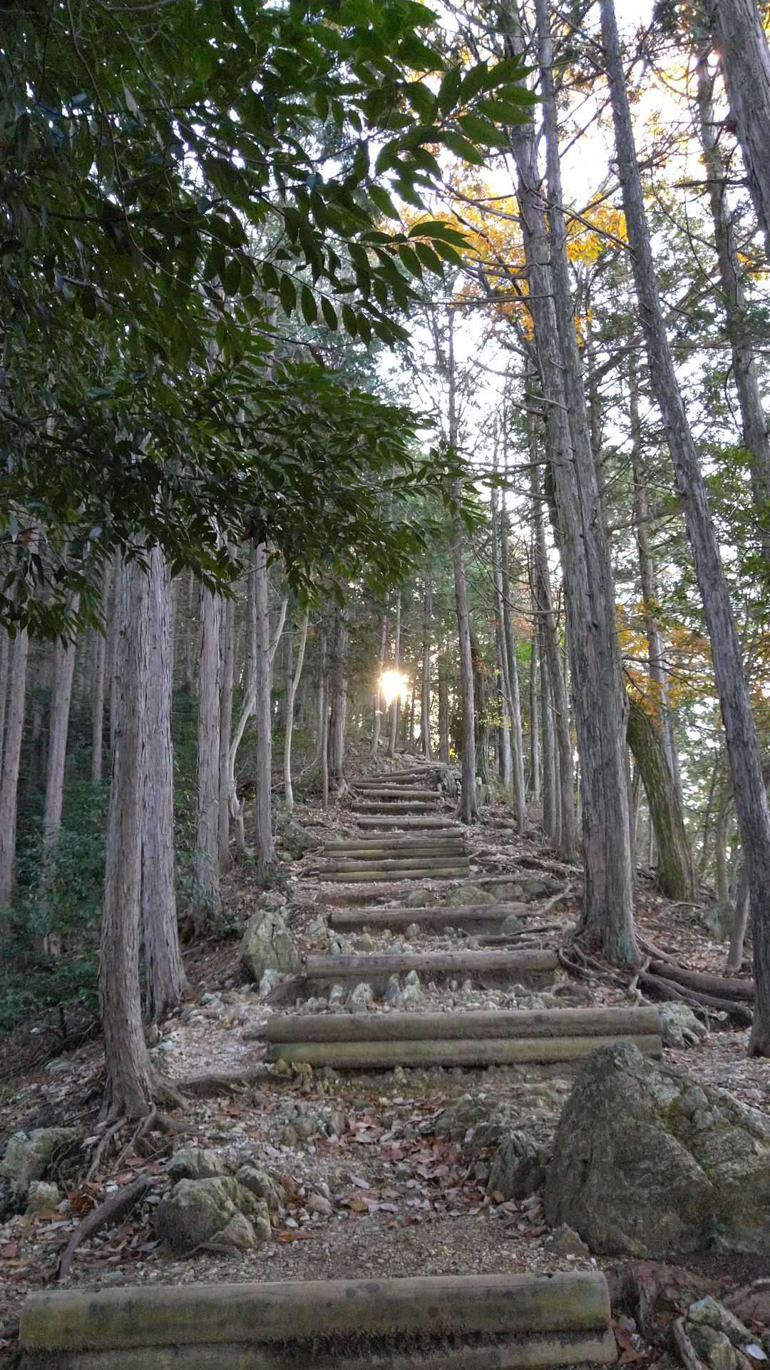 これでもかっっ‼️てくらい階段😅