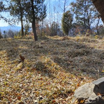 山頂からの眺望はいまいち