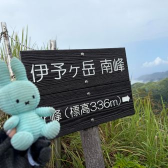 南峰に着いたー‼️頑張ったねぇ。