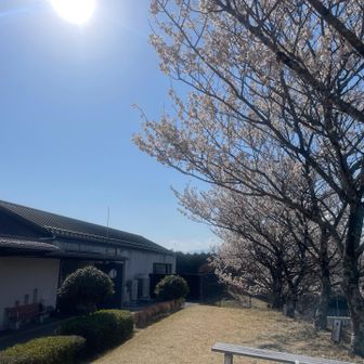 小山町町営いこいの家あしがら温泉がゴール
こちらの桜も見事でした♨️
サウナ施設も充実。特に湯浴み処が広々していて椅子もたくさん。人工芝の上ですっぽんぽんで大の字で寝っ転がれる場所があって、それがとても気持ち良かったです🤤（900円/3時間）

https://www.ashigaraonsen.jp/