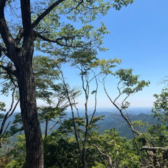 ずっと眺望が無かったルートなので、枝越しでも貴重な眺望👍