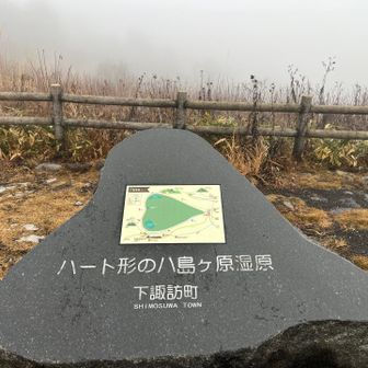 山頂からのハート❤️形の八島ヶ原湿原は次回のお楽しみに…