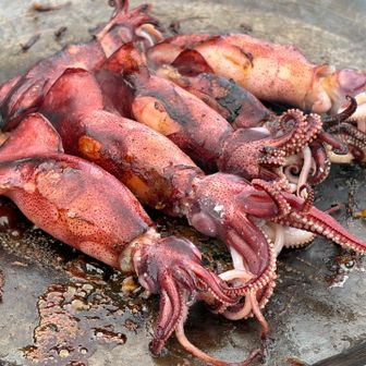 「そろそろ焼けたかな…」

仕上げに醤油を垂らして…

「うまそ〜🎶」