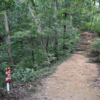 小川げんきプラザから金勝山への登山道は人が通っているので蜘蛛の巣大丈夫でした