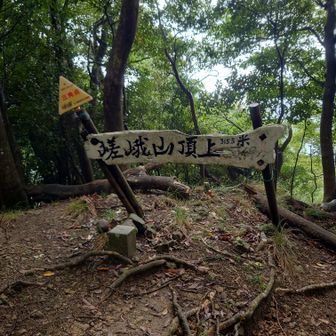 嵯峨山頂上