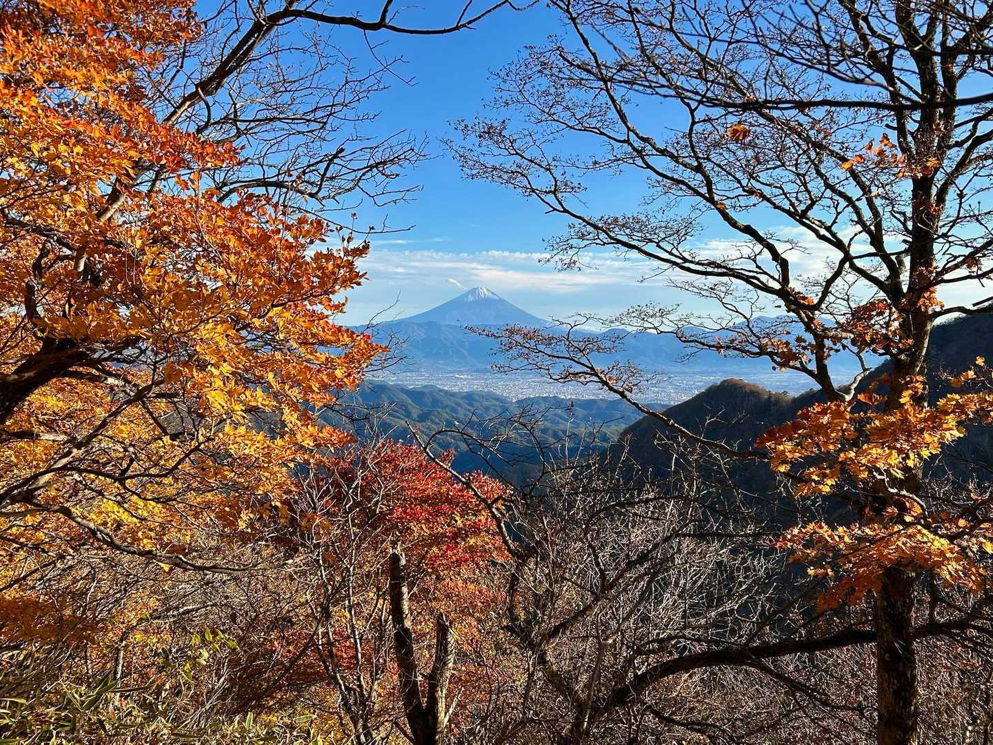 茅ヶ岳（観音峠） の写真