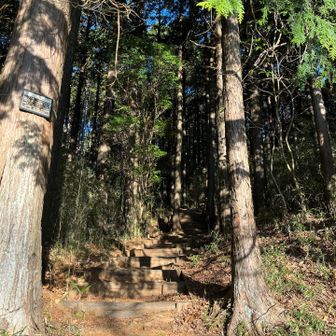 階段はハードだよ💦