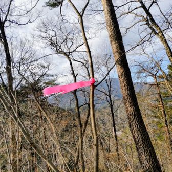 風強し🌪️🍃