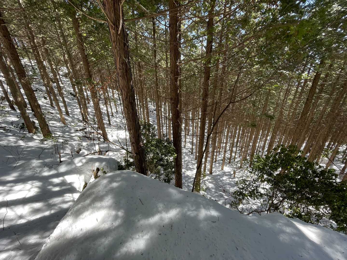 どうもこの岩のようですが…苦笑
とても見晴岩とはいえません。