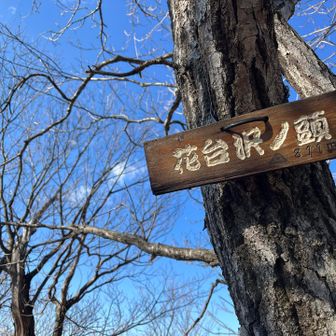 花台沢ノ頭に到着🙌