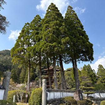 瑠璃光寺五重塔付近まで戻ってきた。
