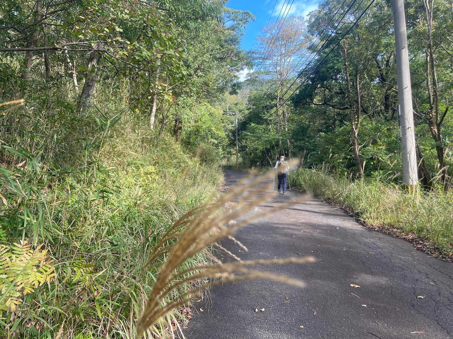 登山口まで歩きます
