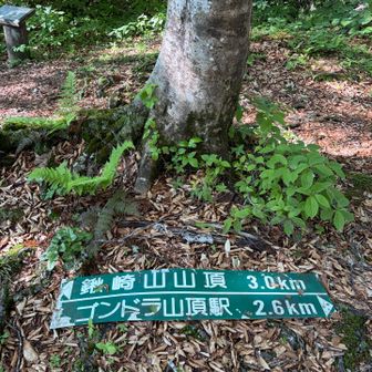 案内看板横たわっております😅