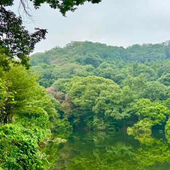 山頂は、あの辺りだったのかな？