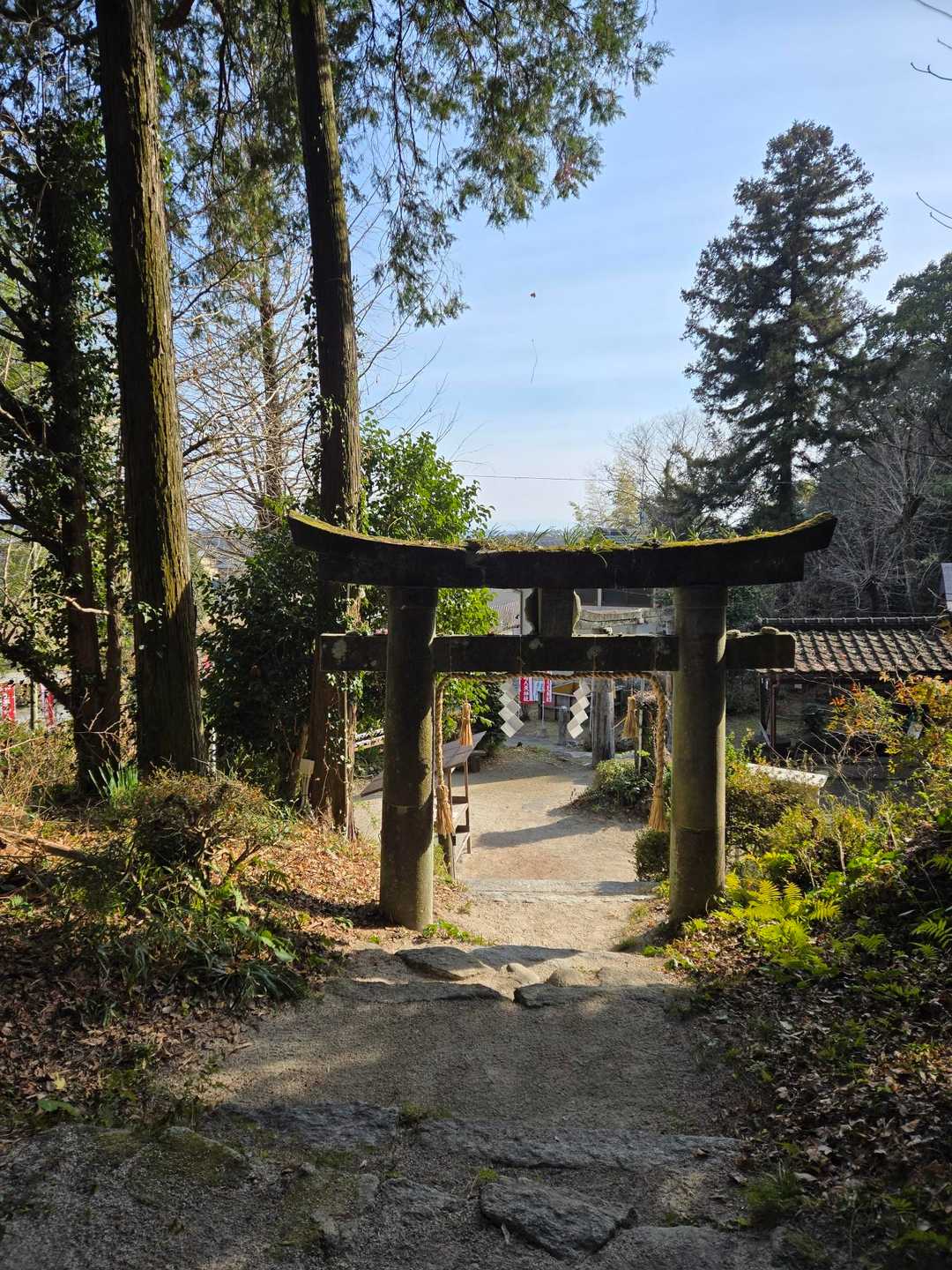 下山してきました