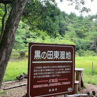 湿っぽくなく気持ちよかった〜