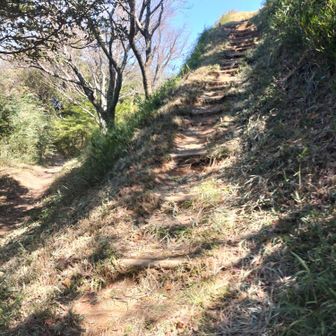 この階段を登ると