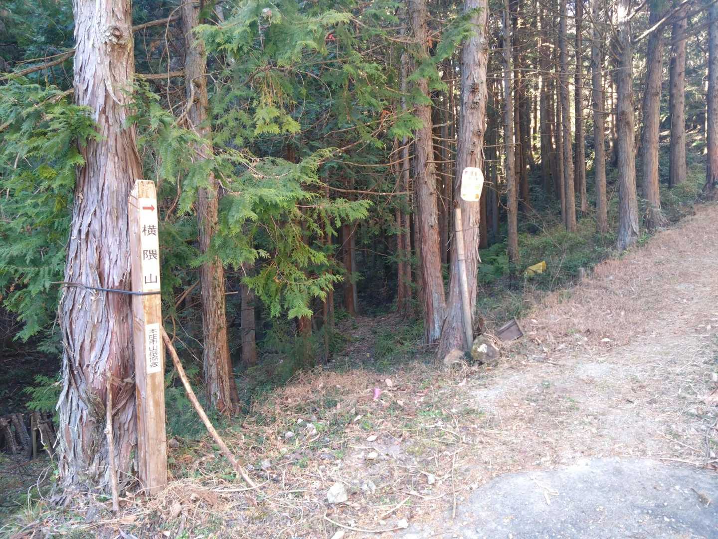 30分ほどロード歩きにて登山口に着きました🐾