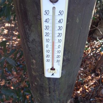 風がないので、汗ばむ。