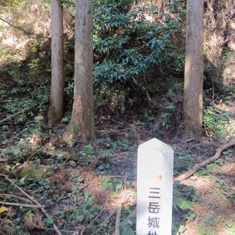 こちらね🎶🏃