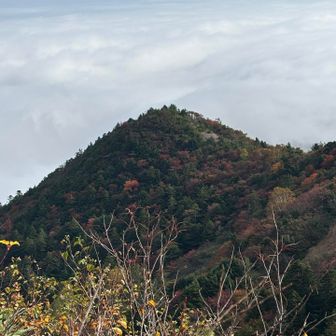遠くに見える山も紅葉してます