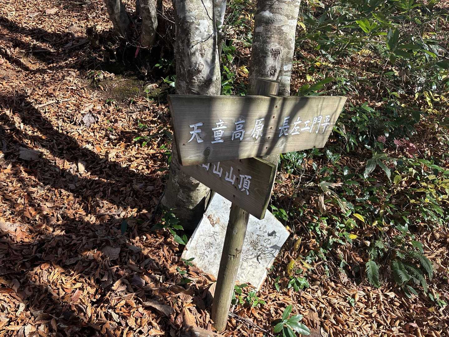 分岐点↔️
カモシカコースはまだ歩いた事ないですが
また今度😅