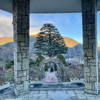 コンパクトだけど見どころの多いお庭。
お茶室や熱帯温室は見られなかったので、また訪れたいです