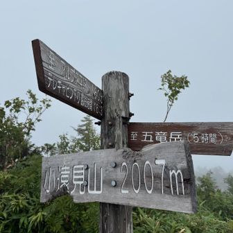 小遠見、、、

時間無いけど巻かずにちゃんとピーク踏む💪