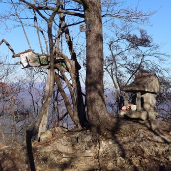 天狗岩山頂
この辺りの岩稜を天狗岩というらしい、祠があるここがその山頂