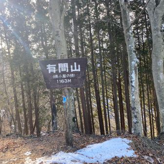 やっと有間山、1,163m。これ以降はトレランレースのコースにもなっているため、歩きやすい。