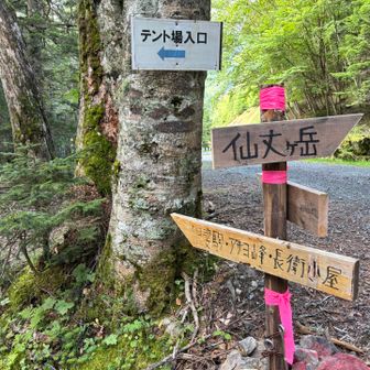 長衛小屋はこちらへ

標識にある『アサヨ峰』と『栗沢山』
ここは宇多田ヒカルが出演したサントリー「南アルプス天然水」のCM『水の山行ってきた 南アルプス』篇を撮影した山です🎶

そんな話を昨日夕食の時にしました