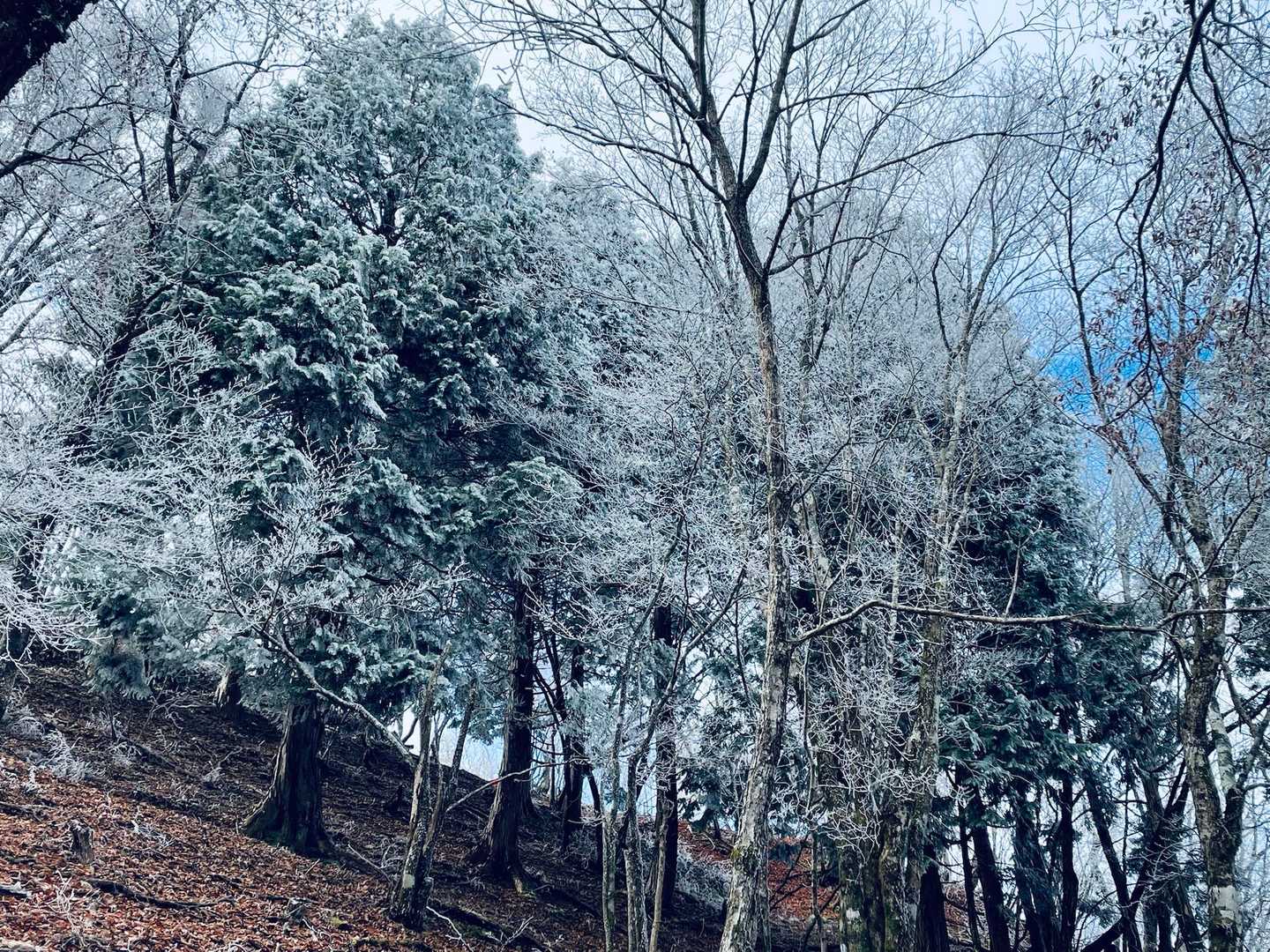 🤍☃️✨