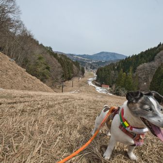 だいぶ登ってきた。あっちー