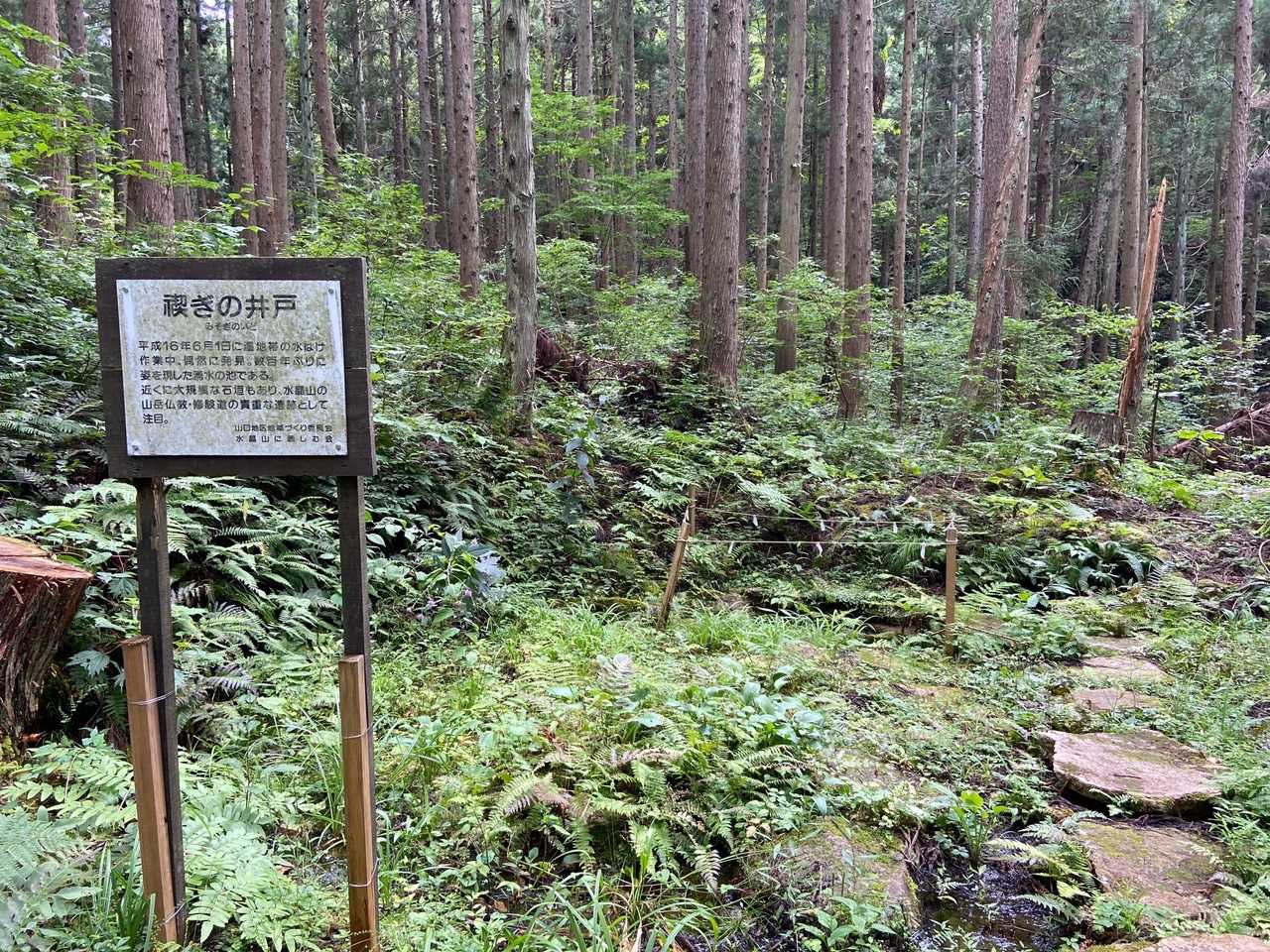 だそうです😃