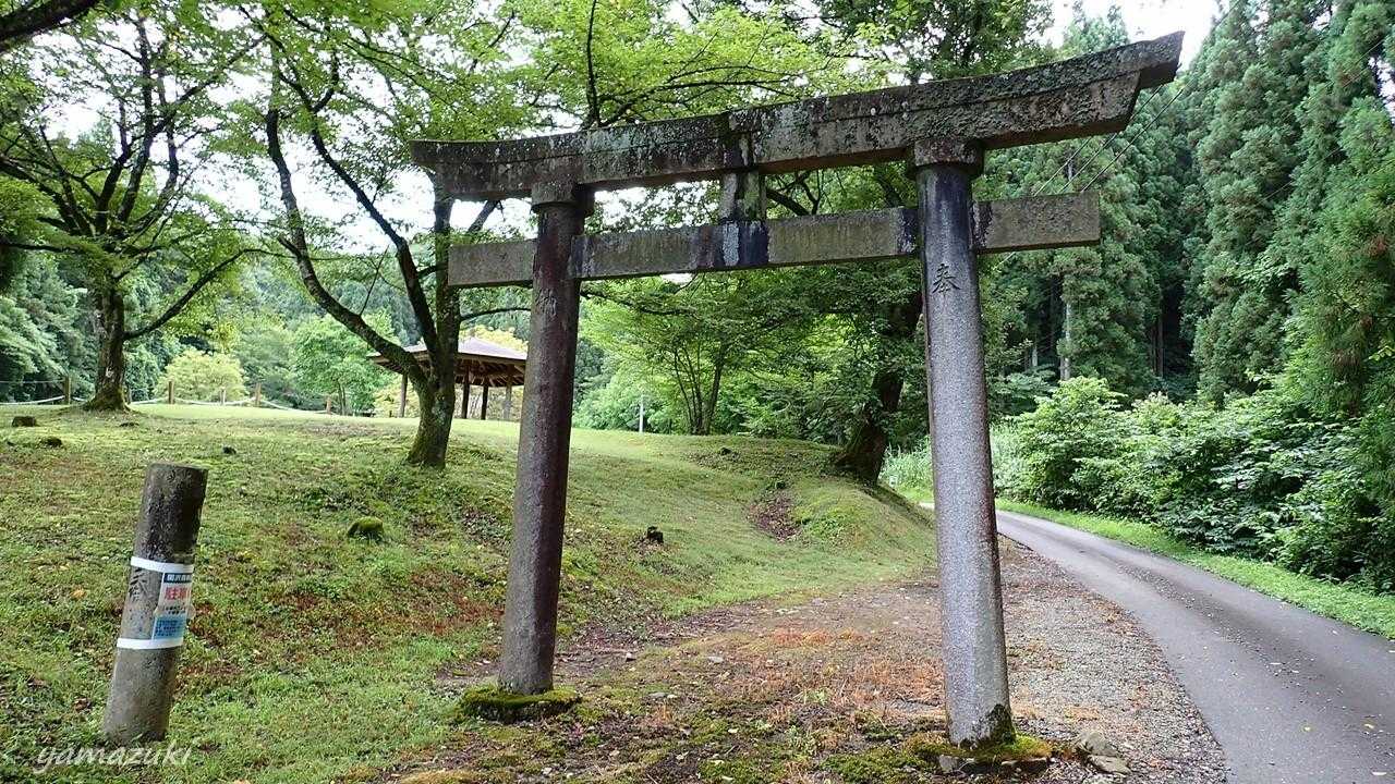 関沢登山口-櫛形山 往復コースの写真