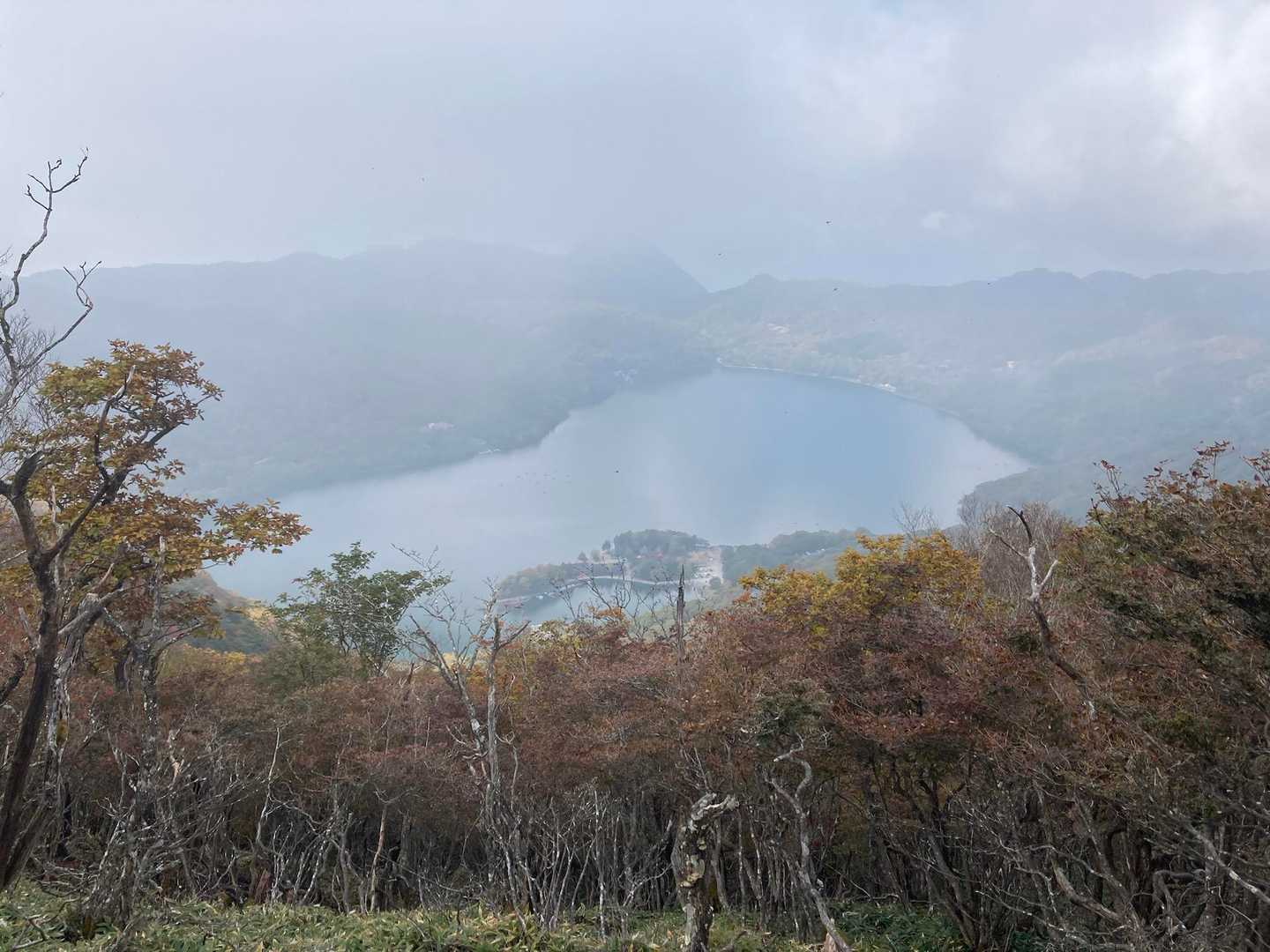 かっかろうじて赤城神社が見える…
紅葉？
分からんw