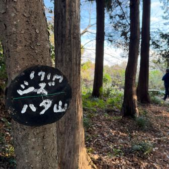 標高171メートル

山の楽しみって、標高の高さじゃないと改めて思う