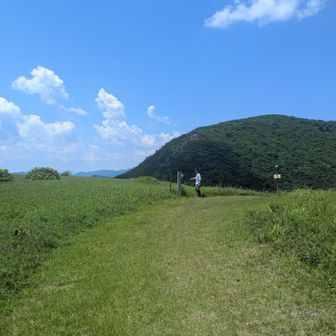 
その現実を受け入れられなかっただけだ。
