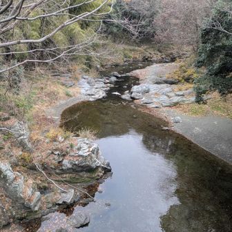 槻川に掛かる谷川橋を渡る時に鳥の鳴き声がした先を見下ろすとシロサギが飛び立つ瞬間でした
どうやらコチラの河原にも降りられるようです