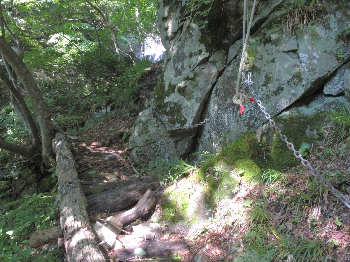 植林帯の後は涸れ沢を上って、何度かトラバースを繰り返すと滝が見えて来ます。😍