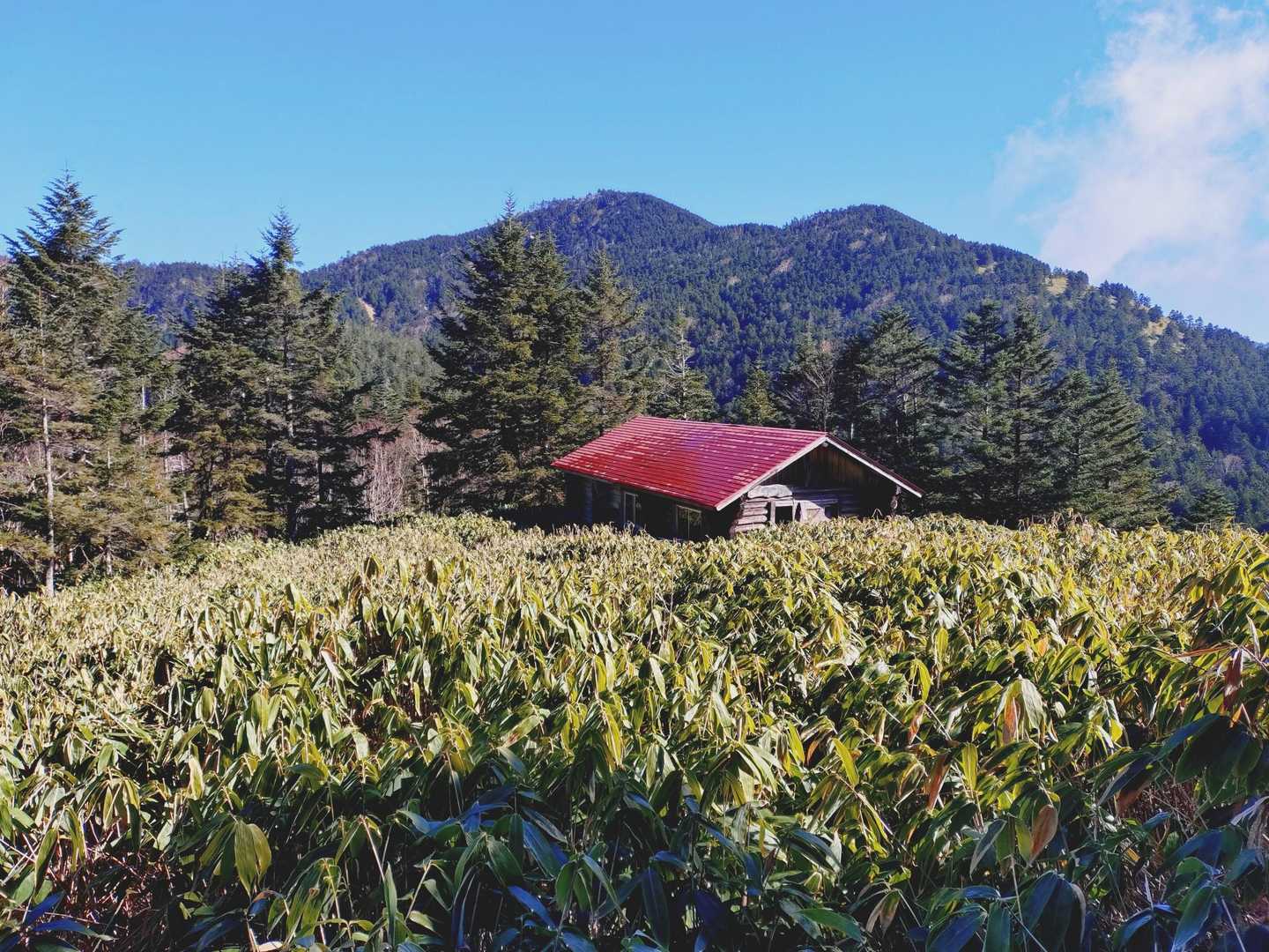 やっと避難小屋に到着。後ろにラスボスの安平路山が控えている。