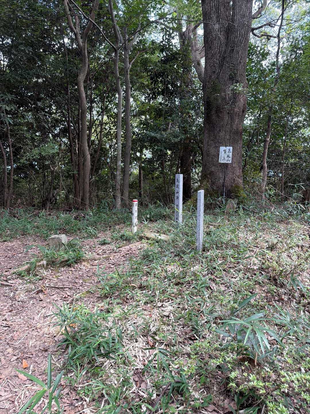 気延山山頂。